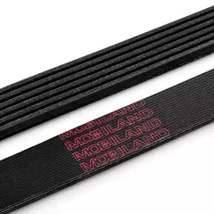 Ремень приводной 6PK1718 (EPDM) для а/м FORD FOCUS I седан (DFW); MITSUBISHI LANCER VIII (CY_A, CZ_A); CHEVROLET CRUZE (J300)