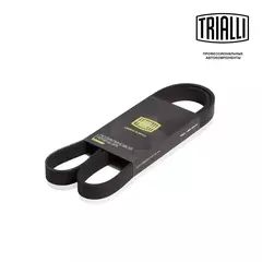 Ремень приводной для автомобилей Opel Zafira B (05 )/Astra H (04 ) 1.7CDTi (6PK1605) TRIALLI