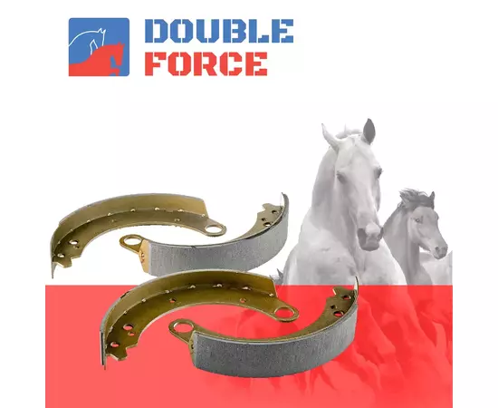 Колодки тормозные Double Force DFS8760 Задние