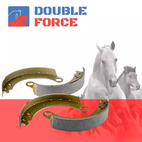 Колодки тормозные Double Force DFS8760 Задние