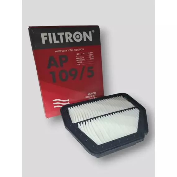 Фильтр воздушный Filtron AP109/5 (AP1095)